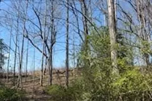 4675 Hickory Nut Ridge Rd, Granite Falls, NC 28630 - Photo 8