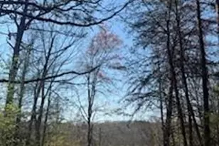 4675 Hickory Nut Ridge Rd, Granite Falls, NC 28630 - Photo 4