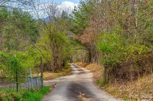 99999 Aladdin Dr, Leicester, NC 28748 - Photo 12