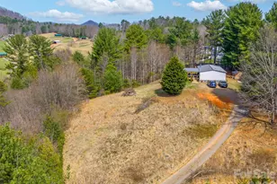 99999 Aladdin Dr, Leicester, NC 28748 - Photo 2