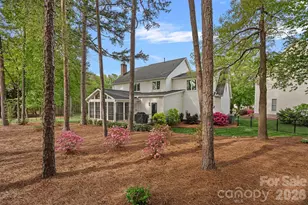 12729 Longstock Ct, Huntersville, NC 28078 - Photo 36