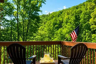 420 Chimney Rock Dr, Weaverville, NC 28787 - Photo 2