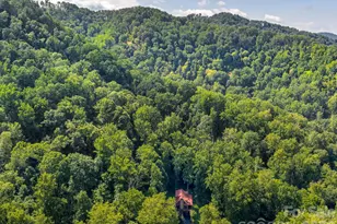 420 Chimney Rock Dr, Weaverville, NC 28787 - Photo 40