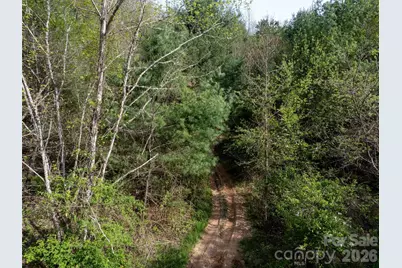 Lot 43 Sunnybrook Trail, Clyde, NC 28721 - Photo 8