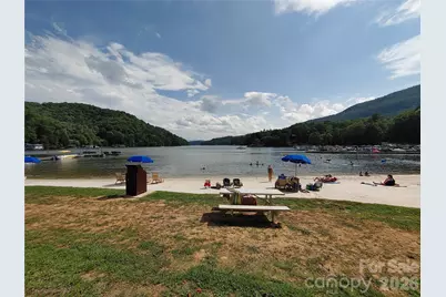 225 Sheepnose Drive, Lake Lure, NC 28746 - Photo 2