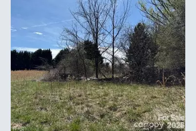 7 Pressley Branch Road, Arden, NC 28704 - Photo 2