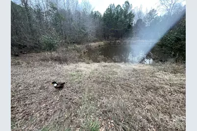 1797 Nc 109 Highway N, Wadesboro, NC 28170 - Photo 4