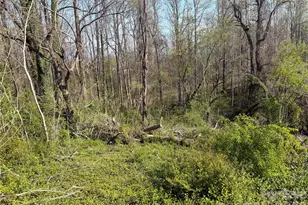 119 Seagle St, Marion, NC 28752 - Photo 34