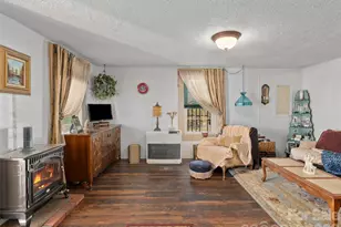 19 Mingus St, Canton, NC 28716 - Photo 10