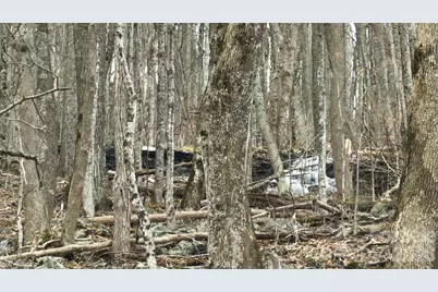 Tbd Tater Hill Road, Zionville, NC 28698 - Photo 22