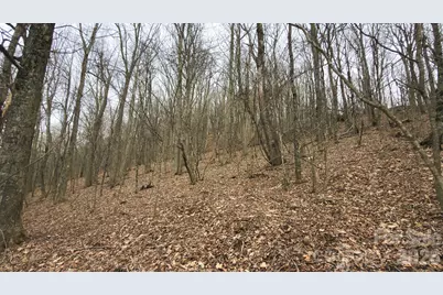 Tbd Tater Hill Road, Zionville, NC 28698 - Photo 14