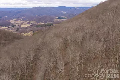 Tbd Tater Hill Road, Zionville, NC 28698 - Photo 4