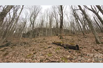 Tbd Tater Hill Road, Zionville, NC 28698 - Photo 18