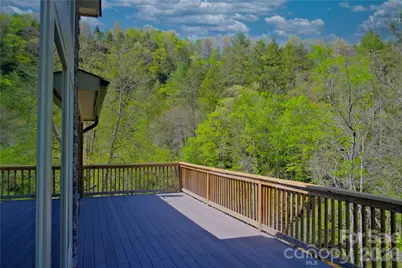 48 Back River Trail, Marshall, NC 28753 - Photo 6