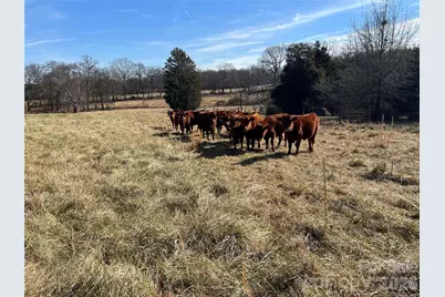 328 Davidson Court, Taylorsville, NC 28681 - Photo 8