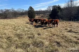 328 Davidson Ct, Taylorsville, NC 28681 - Photo 8