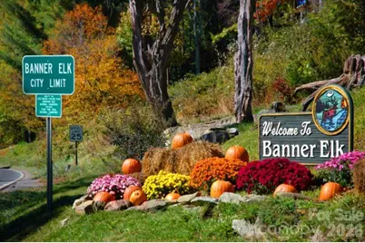 515 Grey Fox Ridge, Banner Elk, NC 28604 - Photo 18