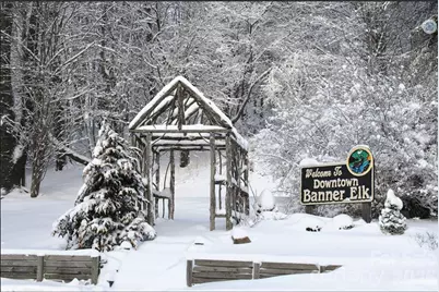 515 Grey Fox Ridge, Banner Elk, NC 28604 - Photo 20