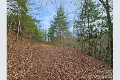 00 Wispy Willow Drive #22T, Waynesville, NC 28785 - Photo 1