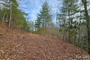 00 Wispy Willow Dr, Waynesville, NC 28785 - Photo 1