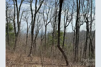 108 Fawncrest Court #51 - R, Flat Rock, NC 28731 - Photo 18