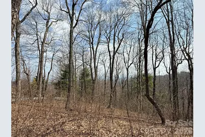 108 Fawncrest Court #51 - R, Flat Rock, NC 28731 - Photo 20