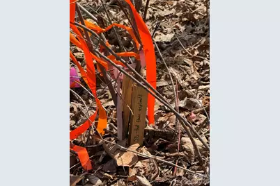 108 Fawncrest Court #51 - R, Flat Rock, NC 28731 - Photo 30