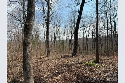 108 Fawncrest Court #51 - R, Flat Rock, NC 28731 - Photo 10