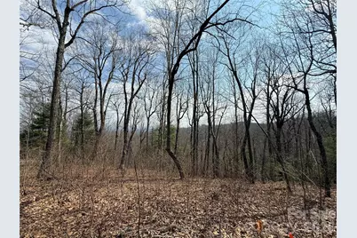 108 Fawncrest Court #51 - R, Flat Rock, NC 28731 - Photo 26