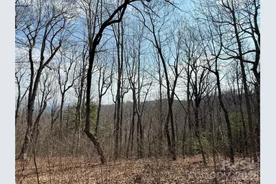 108 Fawncrest Court #51 - R, Flat Rock, NC 28731 - Photo 24