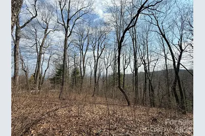 108 Fawncrest Court #51 - R, Flat Rock, NC 28731 - Photo 28