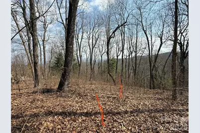 108 Fawncrest Court #51 - R, Flat Rock, NC 28731 - Photo 32