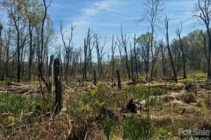 1423 Chelveston Dr, Charlotte, NC 28208 - Photo 24