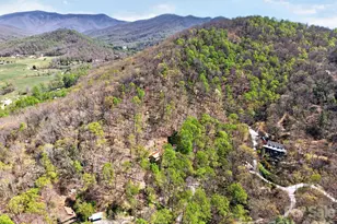 32 Seldom Home Dr, Black Mountain, NC 28711 - Photo 40