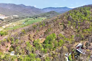 32 Seldom Home Dr, Black Mountain, NC 28711 - Photo 42