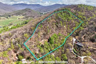 32 Seldom Home Dr, Black Mountain, NC 28711 - Photo 4