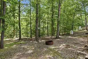 716 King St, Waxhaw, NC 28173 - Photo 6