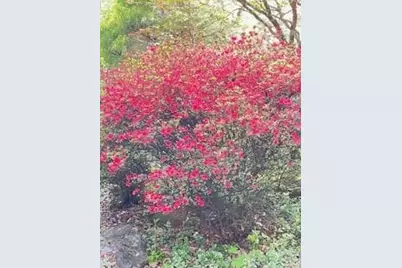 41 Balsam Shadows Drive, Maggie Valley, NC 28751 - Photo 40