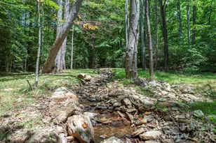 290 Patton Hill Rd, Swannanoa, NC 28778 - Photo 4