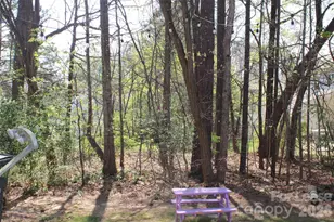 10118 Frosty Ln, Charlotte, NC 28216 - Photo 18