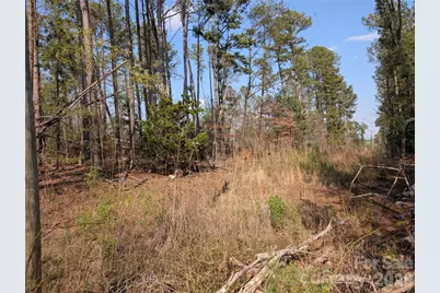 Tbd Whitesides Road, Forest City, NC 28043 - Photo 2