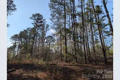 Tbd Whitesides Road, Forest City, NC 28043 - Photo 4