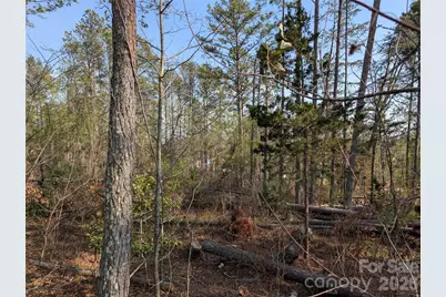 Tbd Whitesides Road, Forest City, NC 28043 - Photo 1