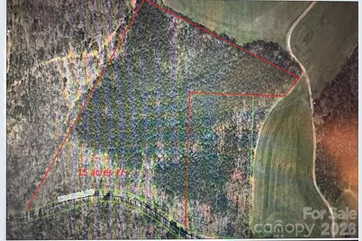 0000 Woodall Road, Wadesboro, NC 28170 - Photo 10