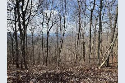 24/26 Butterfly Path #24/26, Bryson City, NC 28713 - Photo 8
