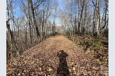24/26 Butterfly Path #24/26, Bryson City, NC 28713 - Photo 4