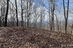 24/26 Butterfly Path, Bryson City, NC 28713 - Photo 1