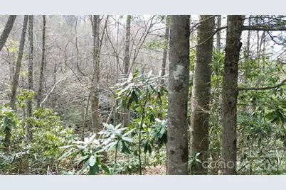 0000 Woodlake Loop Road, Elk Park, NC 28622 - Photo 6