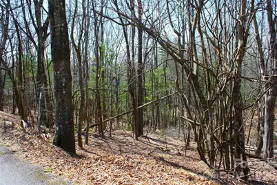 0000 Slick Rock Road, Brevard, NC 28712 - Photo 2