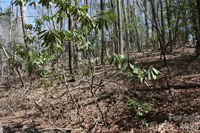 0000 Slick Rock Road, Brevard, NC 28712 - Photo 4